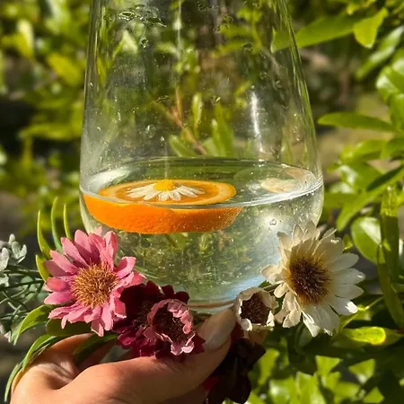 Citrus *