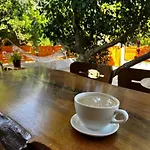 Σπίτι διακοπών Citrus
