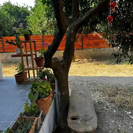 House In Citrus Garden Relaxation In The Arms Of Nature! Holiday home Ortaca (Mugla)