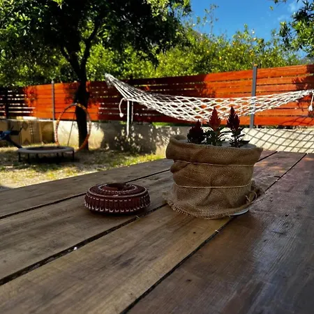 House In Citrus Garden Relaxation In The Arms Of Nature!