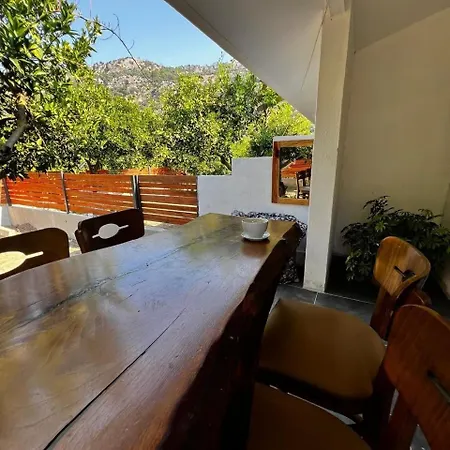 House In Citrus Garden Relaxation In The Arms Of Nature! Holiday home
