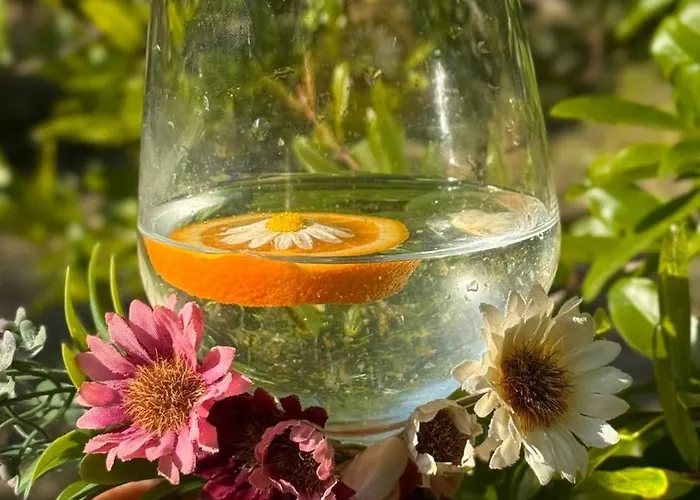 Citrus *