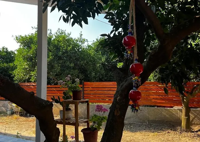 Tatil Evi Citrus Ortaca (Mugla)