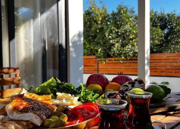 Tatil Evi Citrus Ortaca (Mugla)